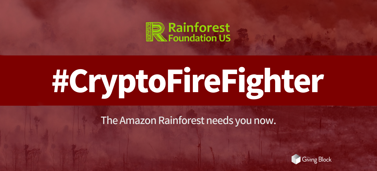 Bitcoin für den Regenwald: Wie die Rainforest Foundation berichtet, arbeitet sie bereits seit Mai 2014 an einer eigenen Kryptowährung namens BitSeeds.